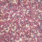 Jumli beans before processing